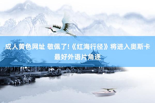 成人黄色网址 敬佩了!《红海行径》将进入奥斯卡最好外语片角逐