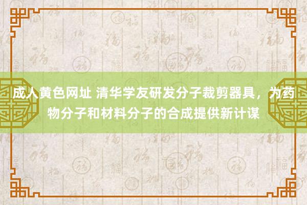 成人黄色网址 清华学友研发分子裁剪器具，为药物分子和材料分子的合成提供新计谋