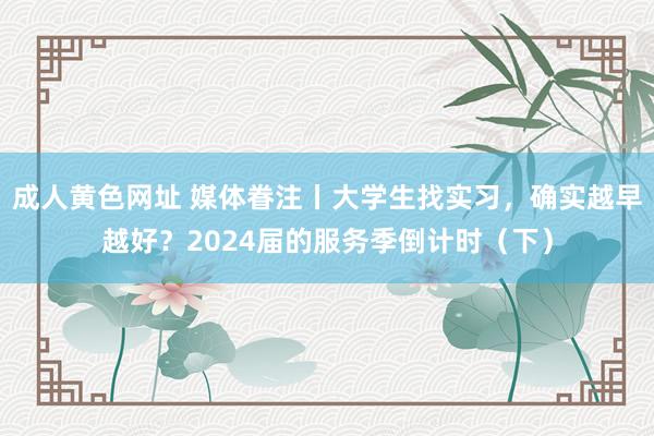 成人黄色网址 媒体眷注丨大学生找实习，确实越早越好？2024届的服务季倒计时（下）
