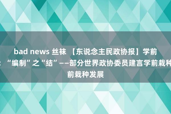 bad news 丝袜 【东说念主民政协报】学前栽种：“编制”之“结”——部分世界政协委员建言学前栽种发展