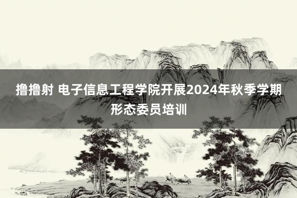 撸撸射 电子信息工程学院开展2024年秋季学期形态委员培训