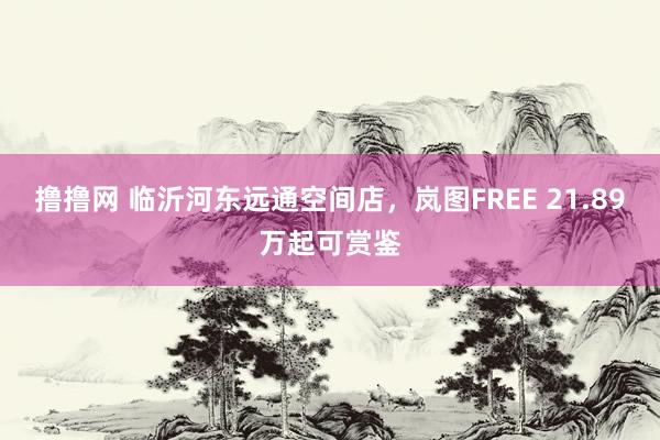 撸撸网 临沂河东远通空间店，岚图FREE 21.89万起可赏鉴