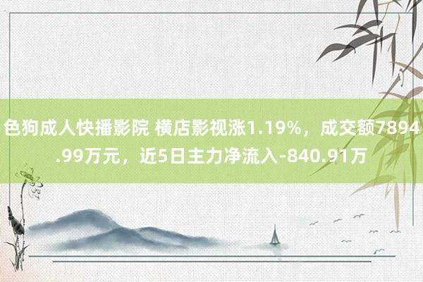 色狗成人快播影院 横店影视涨1.19%，成交额7894.99万元，近5日主力净流入-840.91万