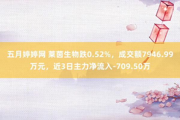 五月婷婷网 莱茵生物跌0.52%，成交额7946.99万元，近3日主力净流入-709.50万