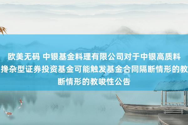 欧美无码 中银基金料理有限公司对于中银高质料发展机遇搀杂型证券投资基金可能触发基金合同隔断情形的教唆性公告