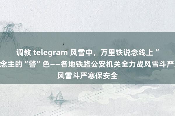 调教 telegram 风雪中，万里铁说念线上“动”东说念主的“警”色——各地铁路公安机关全力战风雪斗严寒保安全