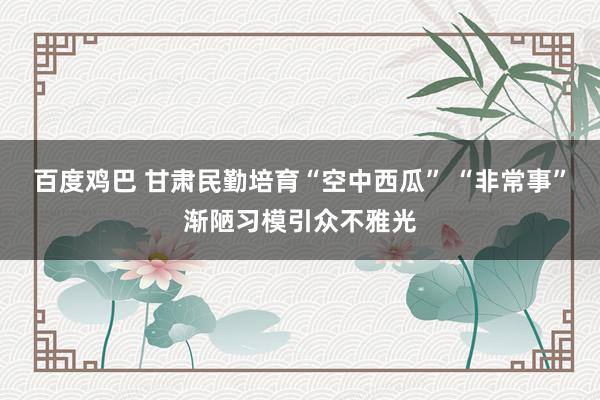 百度鸡巴 甘肃民勤培育“空中西瓜” “非常事”渐陋习模引众不雅光