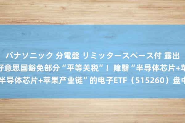パナソニック 分電盤 リミッタースペース付 露出・半埋込両用形 刷屏！好意思国豁免部分“平等关税”！障翳“半导体芯片+苹果产业链”的电子ETF（515260）盘中涨逾1.5%