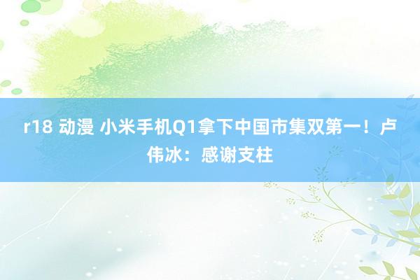 r18 动漫 小米手机Q1拿下中国市集双第一！卢伟冰：感谢支柱