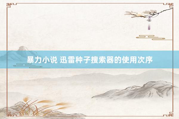 暴力小说 迅雷种子搜索器的使用次序