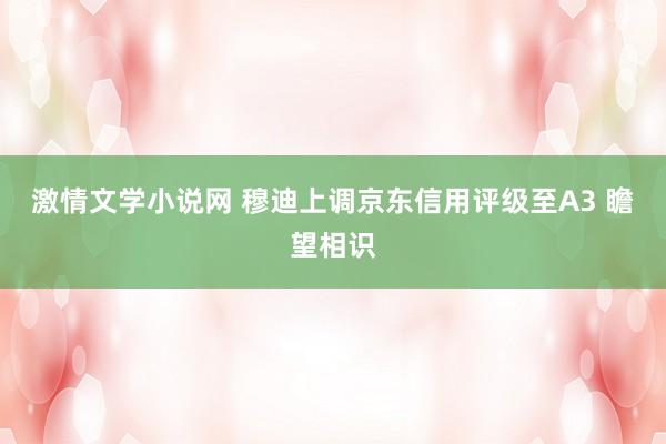 激情文学小说网 穆迪上调京东信用评级至A3 瞻望相识